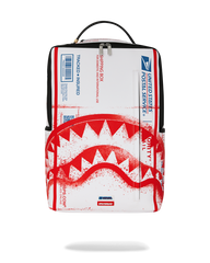USPS SHIPPING BOX BACKPACK